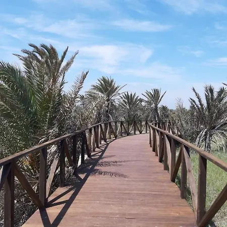 Bajo Con Gran Terraza En Ribera De Apartamento Cabanes (Valencia)